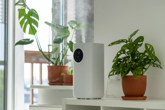 The Ultimate Guide to Humidity for Indoor Plants: Ensuring Thriving Greenery